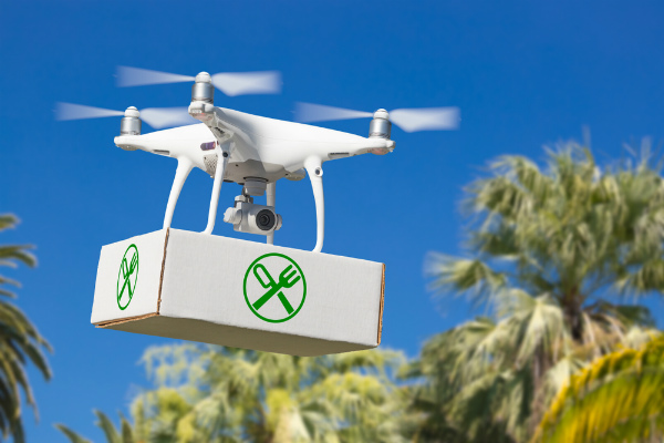 The Future of Drones in the Food Delivery Industry